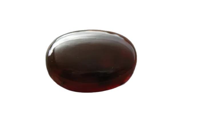 Amber specimen 1