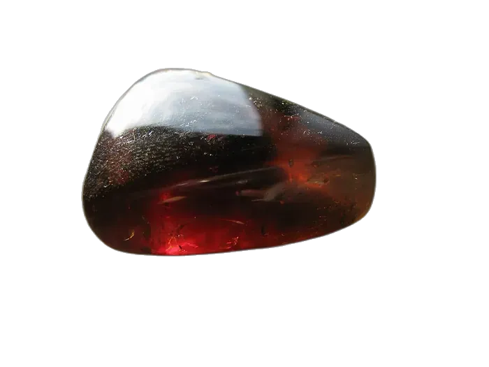 Amber specimen 2
