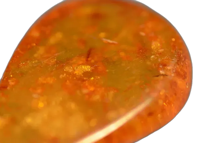 Amber specimen 4
