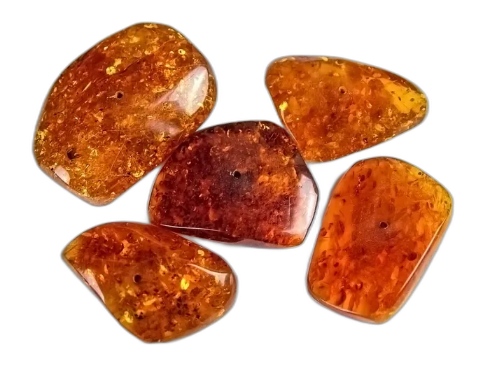 Amber specimen 5
