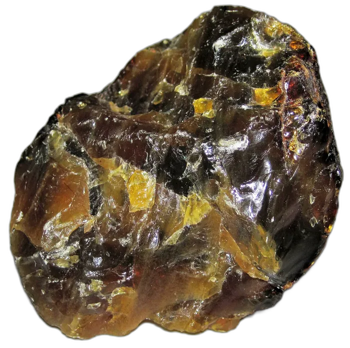 Amber specimen 6