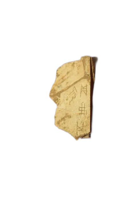 Bone specimen 2