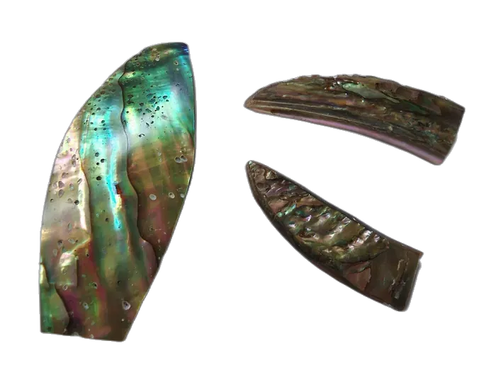 Shell Mother-of-Pearl specimen 1