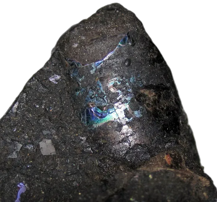 Shell Mother-of-Pearl specimen 4
