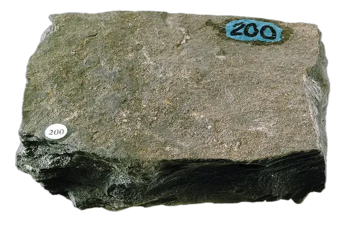 Argillite raw specimen 1