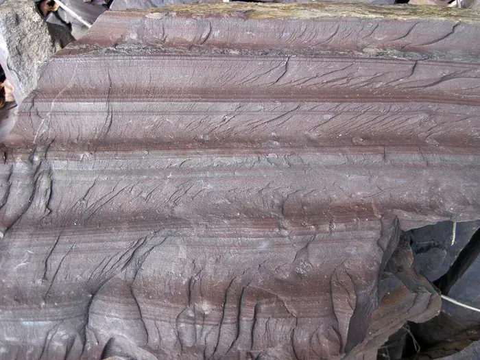 Argillite raw specimen 3