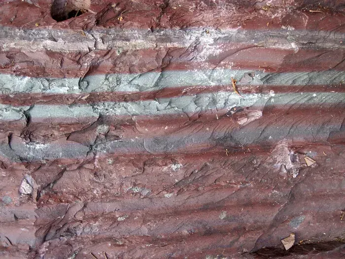 Argillite raw specimen 4