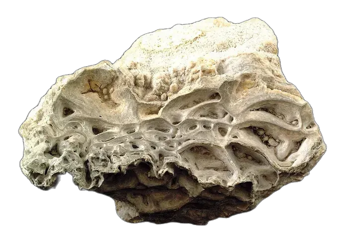 Chalcedony raw specimen 3