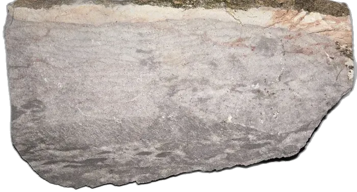 Chert raw specimen 1