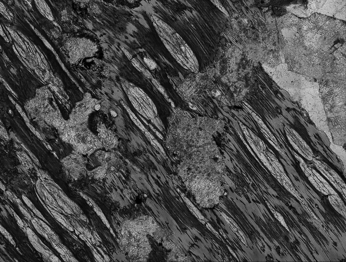 Diorite raw specimen 5
