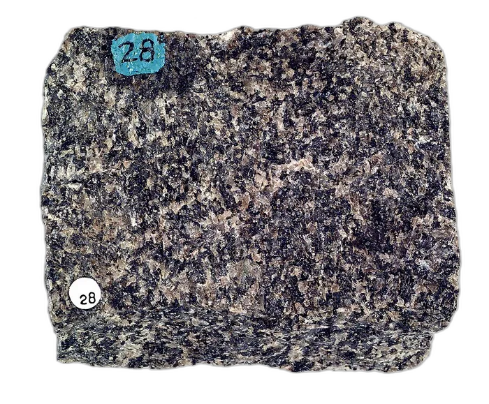 Gabbro raw specimen 4