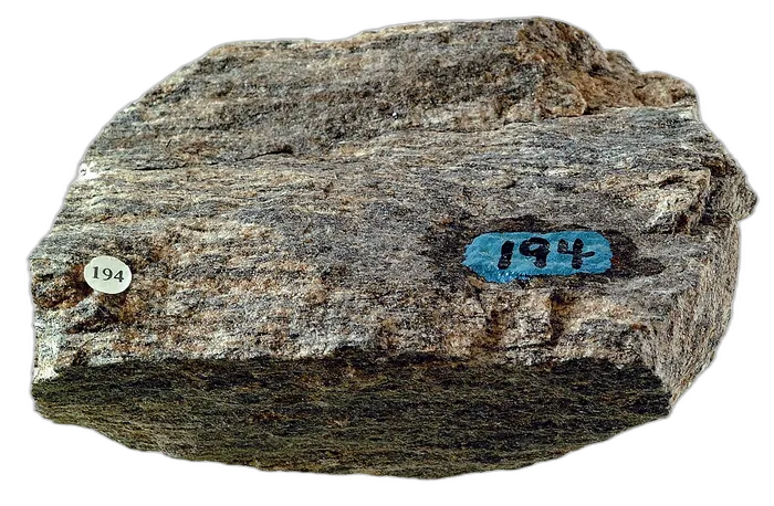 Gneiss raw specimen 1