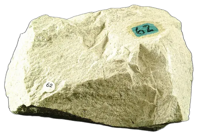 Limestone raw specimen 7