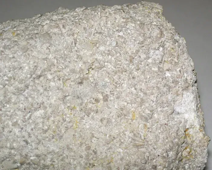 Limestone raw specimen 9