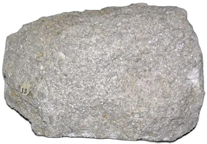 Limestone raw specimen 10