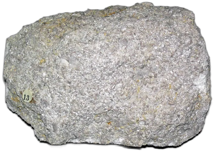 Limestone raw specimen 12