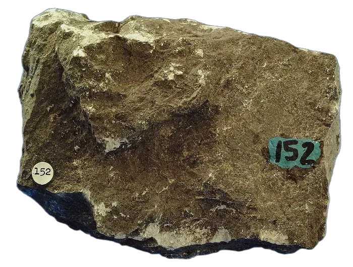 Limestone raw specimen 1