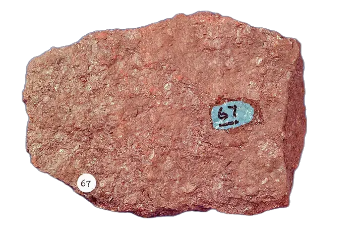 Limestone raw specimen 3