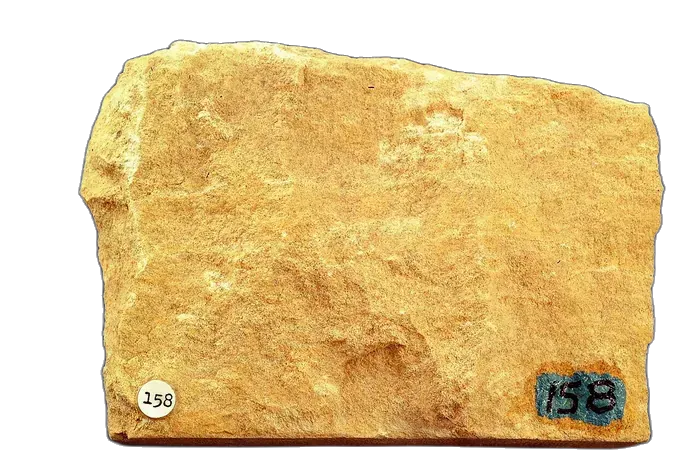 Limestone raw specimen 4