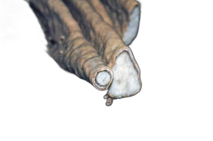 Onyx raw specimen 6
