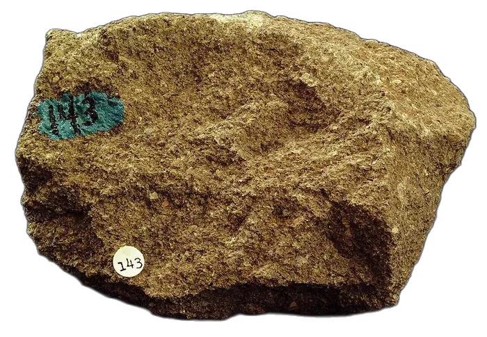 Sandstone raw specimen 4