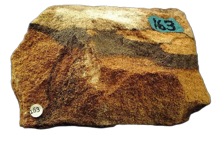 Sandstone raw specimen 5