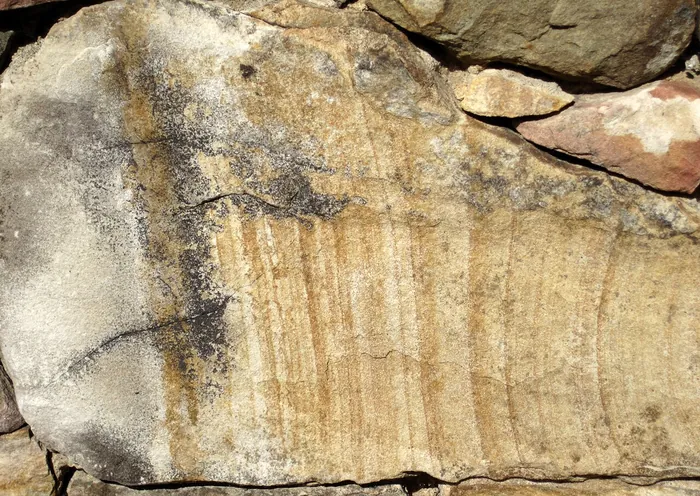 Sandstone raw specimen 6