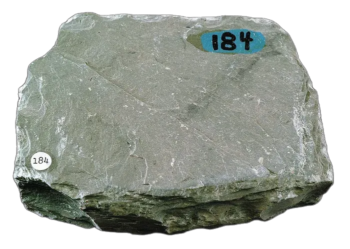 Slate raw specimen 2