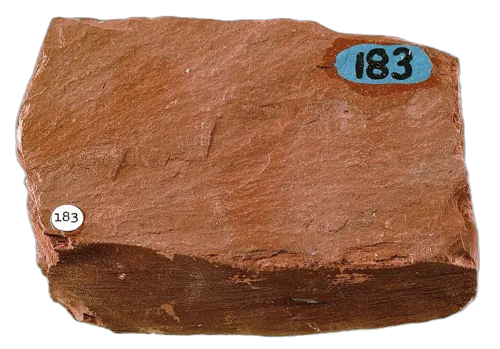 Slate raw specimen 3
