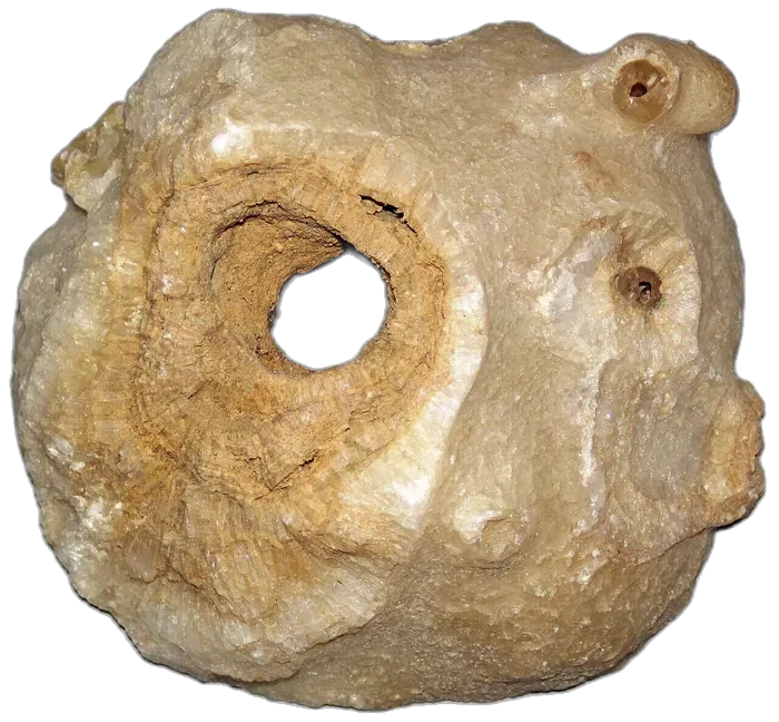 Travertine raw specimen 5