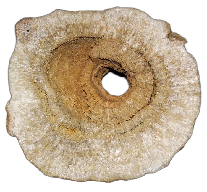 Travertine raw specimen 6