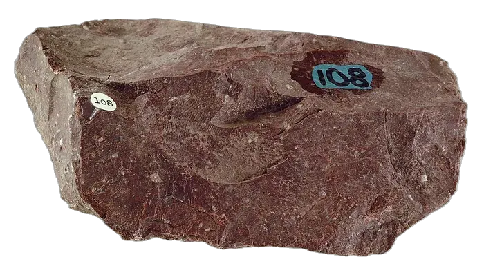 Wonderstone raw specimen 2